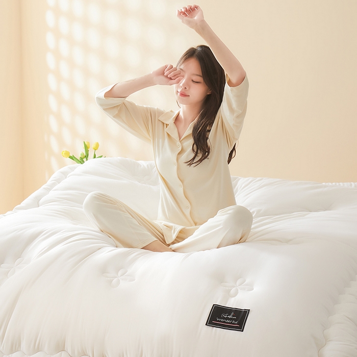 91家纺网 家纺一手货源 找家纺 瑶瑶家居床垫 2024年新款母婴级大豆纤维双拼被 双拼白玉