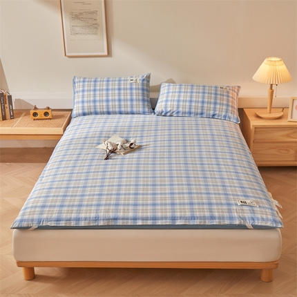 91家纺网 家纺一手货源 找家纺 （总）招财星家纺 2025新款新疆棉花四季款秋冬两用可拆洗床垫子褥子床褥-成人
