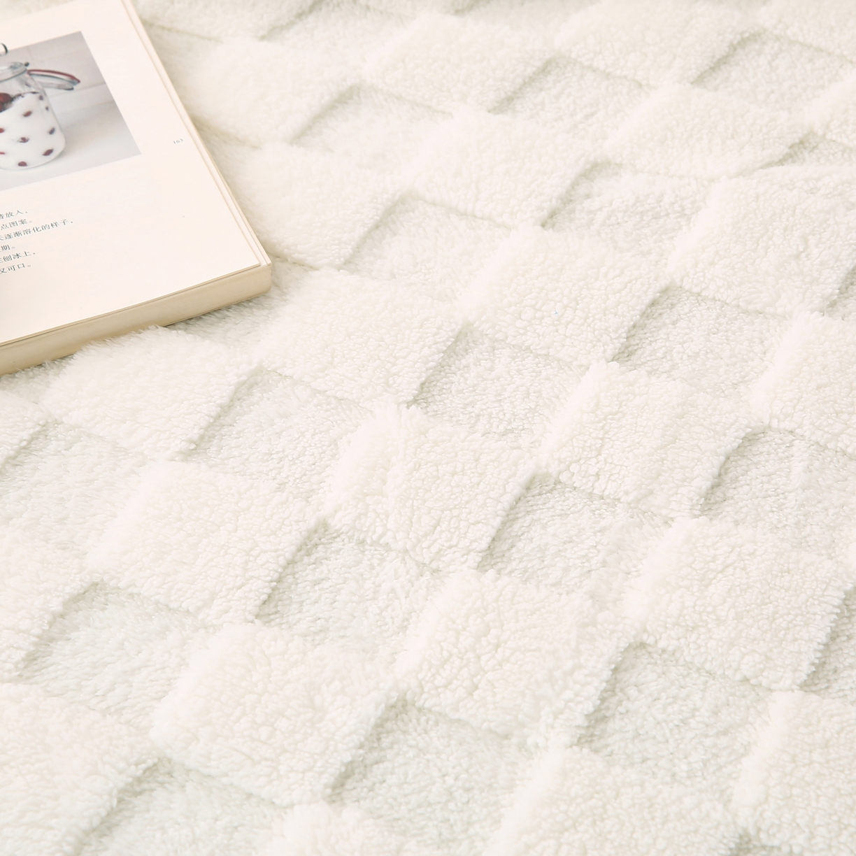 91家纺网 家纺一手货源 找家纺 （总）巴木赫 2024新款塔芙绒面包格毛毯毯子