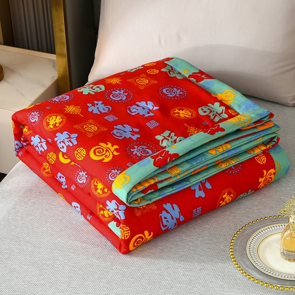 （总）爱宝被业 2025新款磨毛双层纱夏被-场景二