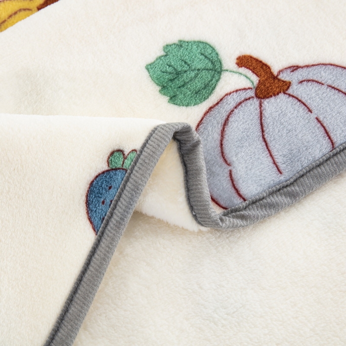 91家纺网 家纺一手货源 找家纺 卉晨家纺 2024新款披肩毯毛毯空调毯毯子 吉娜