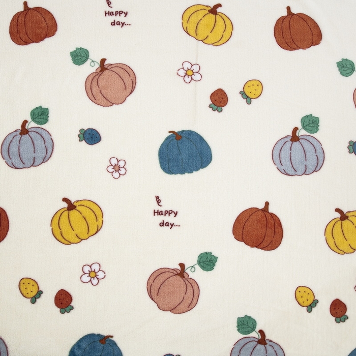 91家纺网 家纺一手货源 找家纺 卉晨家纺 2024新款披肩毯毛毯空调毯毯子 吉娜