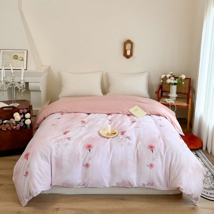 （总）艾迪尚家纺 2025新款生态全棉磨毛印花四件套--单被套