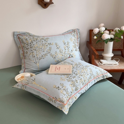 91家纺网 家纺一手货源 找家纺 （总）艾迪尚家纺 2025新款生态全棉磨毛印花四件套--单枕套