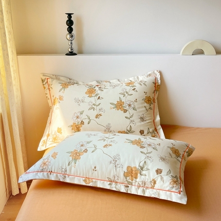 91家纺网 家纺一手货源 找家纺 （总）艾迪尚家纺 2025新款生态全棉磨毛印花四件套--单枕套