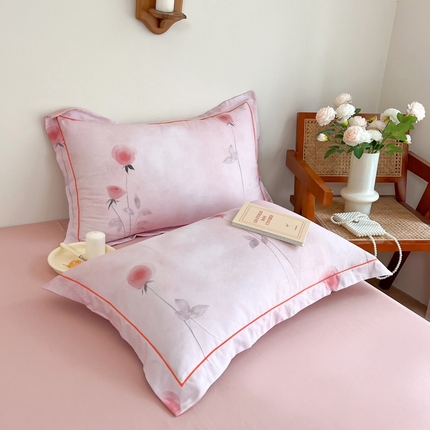 91家纺网 家纺一手货源 找家纺 （总）艾迪尚家纺 2025新款生态全棉磨毛印花四件套--单枕套