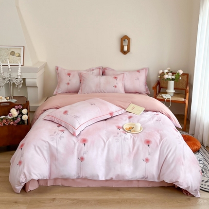 （总）艾迪尚家纺 2025新款生态全棉磨毛印花四件套