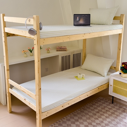 金丝鸟家纺 2024新款A类全棉色织水洗棉单床笠系列（学生床） 果绿中条