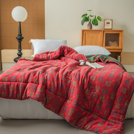 睡棉坊 2025新款全棉色织提花双层纱春秋被芯冬被 百福