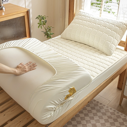 芬晴 2024新款A类抗菌大豆夹棉学生床笠夹棉床笠宿舍床笠跨境电商外贸床笠 艾格-米白