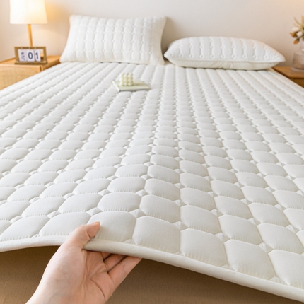 91家纺网 家纺一手货源 找家纺 （总）恒尚居 2024新款抗菌四季款床垫床护垫软垫床褥子防滑单人双人学生软床垫