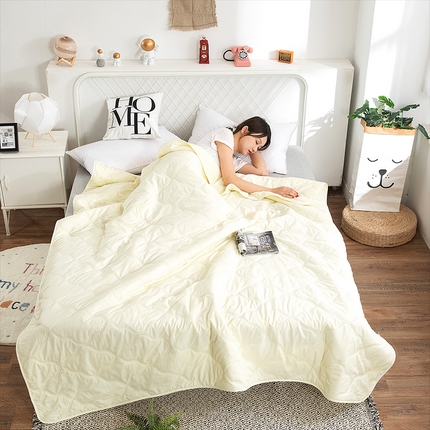 91家纺网 家纺一手货源 找家纺 （总）2025新款亲肤芦荟棉夏被空调被夏凉被
