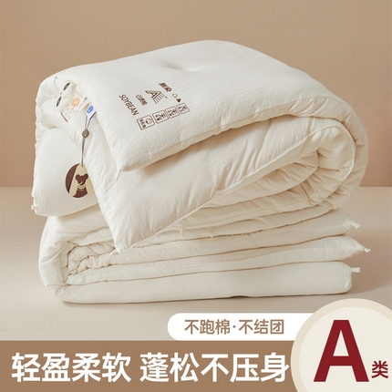 91家纺网 家纺一手货源 找家纺 （总）典冠 2024新款原棉提花无染大豆被冬被春秋被子母被