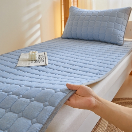 （总）鑫钰 2025新款学生宿舍A类水洗棉大豆夹棉床褥-简格