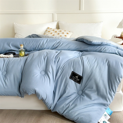 91家纺网 家纺一手货源 找家纺 招财星 2025新款原棉贴标大豆被 格调蓝+摩卡灰