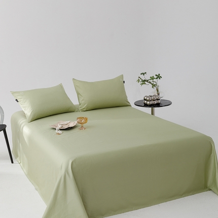 91家纺网 家纺一手货源 找家纺 （总）2025新款长绒棉100支M系列四件套单品系列-单床单