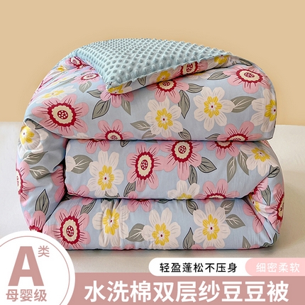 居易简 2025新款水洗棉双层纱豆豆绒被被子被芯冬被春秋被豆豆被加绒直播  海棠朵朵