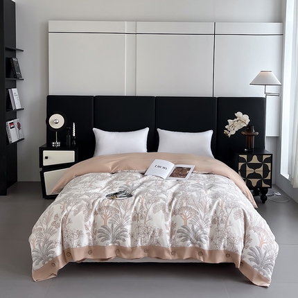 艾迪尚家纺 2025新款柔丝茸磨毛印花纽扣款单被套 雾岛-米