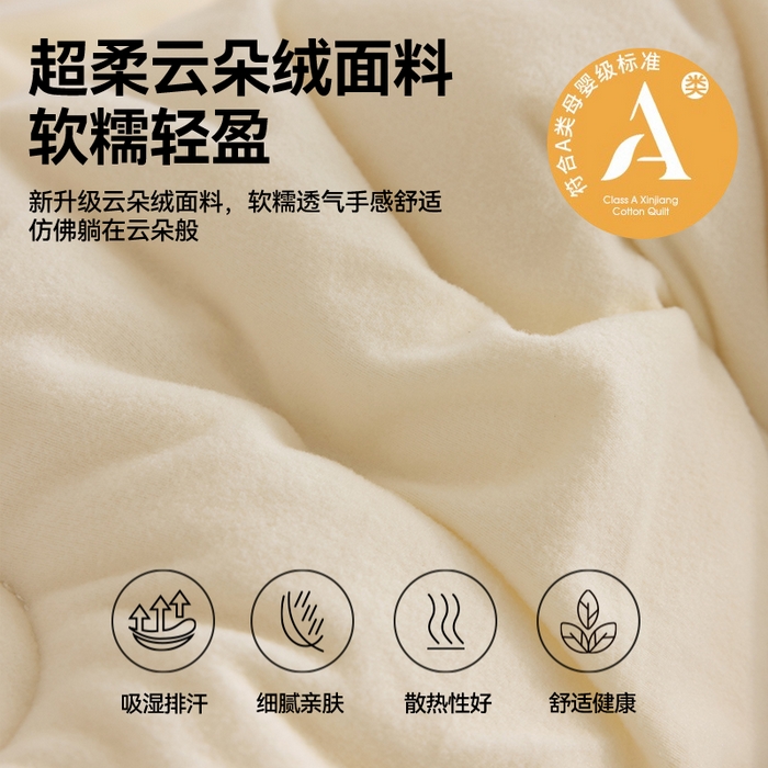 91家纺网 家纺一手货源 找家纺 咏绒家纺工厂店 2024新款工厂直供品质款云朵绒超柔奶盖泡芙冬被春秋被子被芯 云朵白