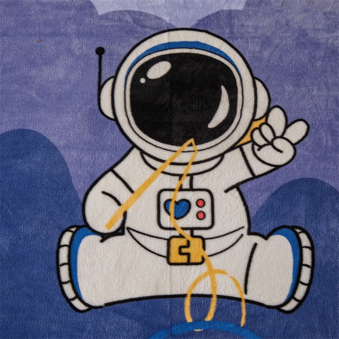 91家纺网 家纺一手货源 找家纺 董韵家纺 2025新款高克重全消光牛奶绒法莱绒金貂绒印花单品被套床裙四件套（提供买家秀） 领航员