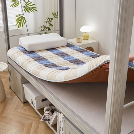 迪乐妮 2024新款单人床无印居家风藤席双面可用床垫 厚度约5cm 蓝大格