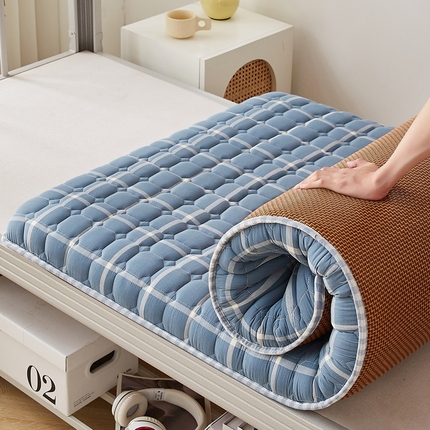 （总）迪乐妮 2024新款单人床无印居家风藤席双面可用床垫 厚度约5cm