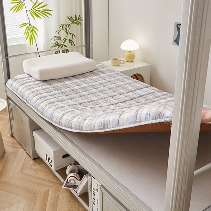 迪乐妮 2024新款单人床无印居家风藤席双面可用床垫 厚度约5cm 罗马格