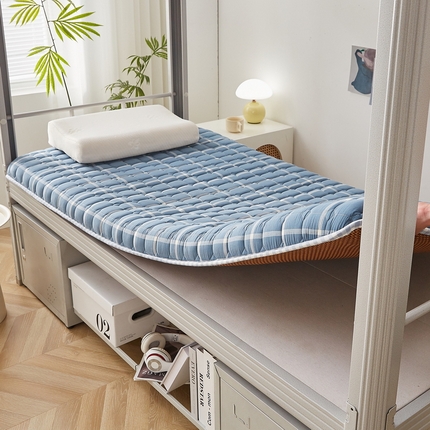 迪乐妮 2024新款单人床无印居家风藤席双面可用床垫 厚度约5cm 海蓝格
