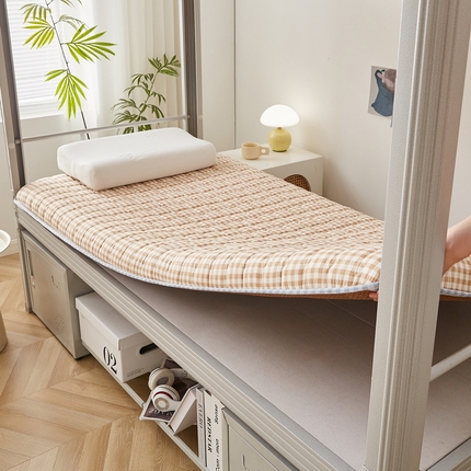 迪乐妮 2024新款单人床无印居家风藤席双面可用床垫 厚度约5cm 咖小格