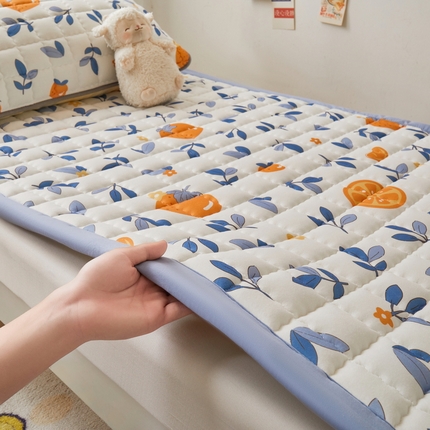 91家纺网 家纺一手货源 找家纺 （总）卡派 2024新款水洗棉学生单人床夹棉加厚床褥