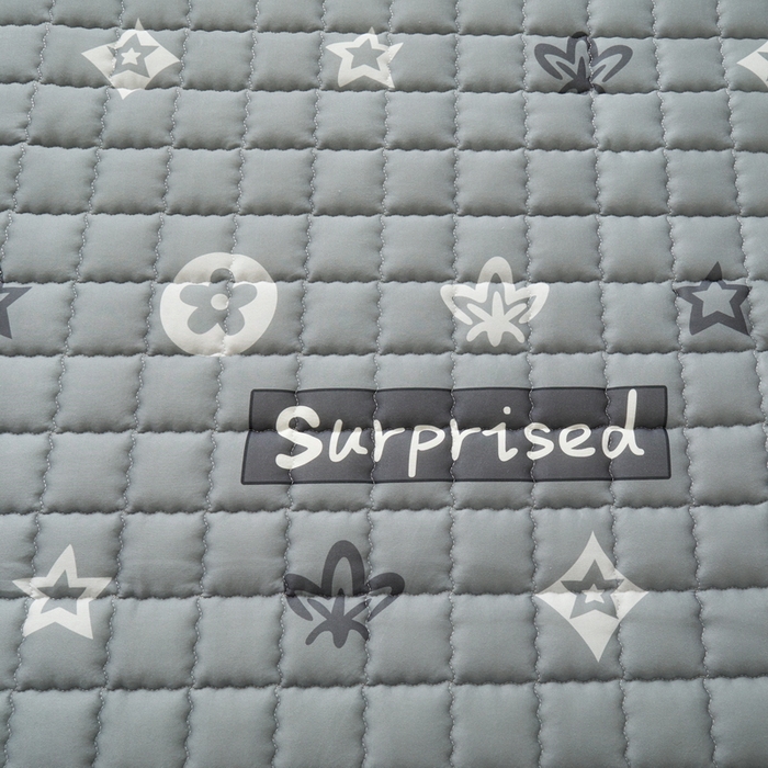 91家纺网 家纺一手货源 找家纺 卡派 2024新款单人床水洗棉夹棉加厚床笠（印花系列） 新蕊