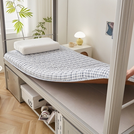 迪乐妮 2024新款单人床无印居家风藤席双面可用床垫 厚度约5cm 蓝小格