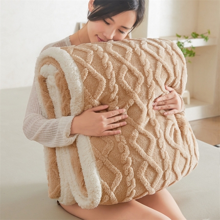 91家纺网 家纺一手货源 找家纺 （总）鑫顺欣 2025新款直播塔芙绒+羊羔绒双面毛毯毯子