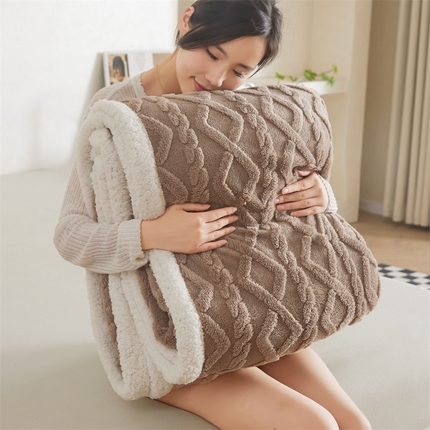 91家纺网 家纺一手货源 找家纺 （总）鑫顺欣 2025新款直播塔芙绒+羊羔绒双面毛毯毯子