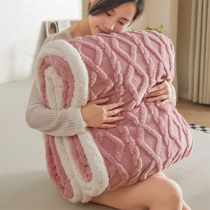 91家纺网 家纺一手货源 找家纺 （总）鑫顺欣 2025新款直播塔芙绒+羊羔绒双面毛毯毯子