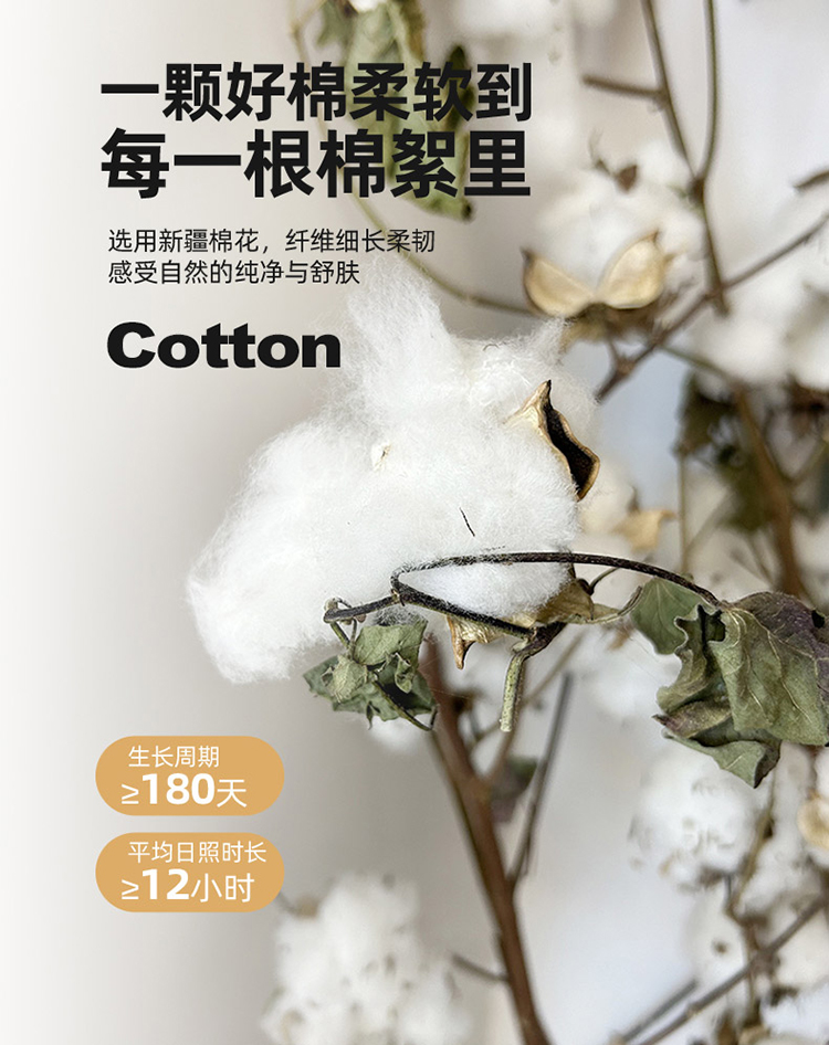 91家纺网 家纺一手货源 找家纺 2024新款全棉提花100棉全棉50支长绒棉四件套 细条纹-优雅紫