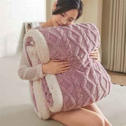 91家纺网 家纺一手货源 找家纺 （总）鑫顺欣 2025新款直播塔芙绒+羊羔绒双面毛毯毯子