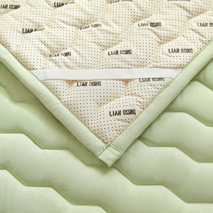 91家纺网 家纺一手货源 找家纺 恋绒家纺 2025新款刺绣款床褥床护垫绣花床垫 mini-薄荷绿