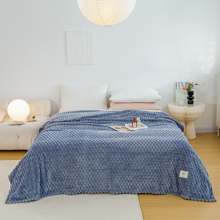 羋多（原穆琪）2024新款高克重提花金龟绒提花毯子法莱绒云貂绒贴布毛毯 雾蓝