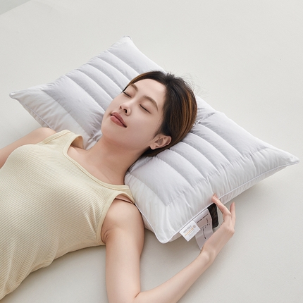 91家纺网 家纺一手货源 找家纺 乐可 2024新款酒店荞麦双面枕 枕头枕芯 酒店荞麦双面枕-白48*74cm/只