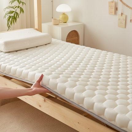 91家纺网 家纺一手货源 找家纺 （总）迪乐妮家居 2024新款学生宿舍专用被芯+床垫