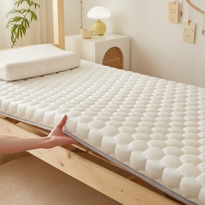 91家纺网 家纺一手货源 找家纺 （总）卡派 2024新款学生宿舍专用被芯+床垫