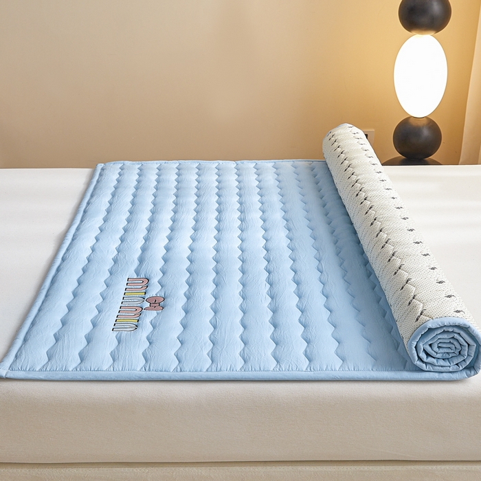 91家纺网 家纺一手货源 找家纺 恋绒家纺 2025新款刺绣款床褥床护垫绣花床垫 mini-天空蓝