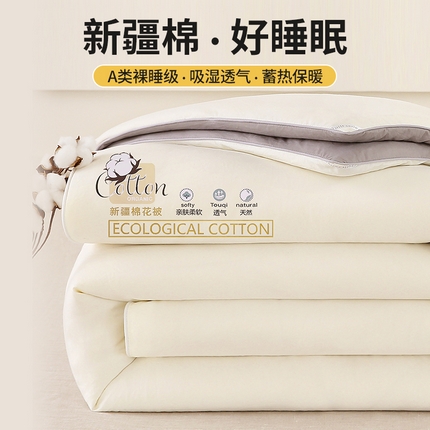 好宜家纺 2025新款水洗棉新疆棉花被芯拉链款二合一子母被冬被春秋被夏被学生宿舍被褥 单被子-米白+中灰