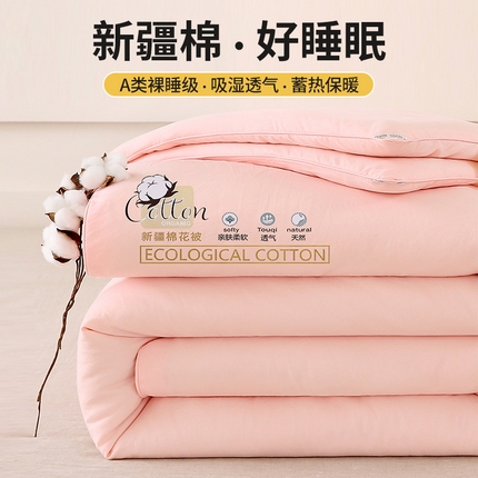91家纺网 家纺一手货源 找家纺 好宜家纺 2025新款水洗棉新疆棉花被芯拉链款二合一子母被冬被春秋被夏被学生宿舍被褥 单被子-粉玉色