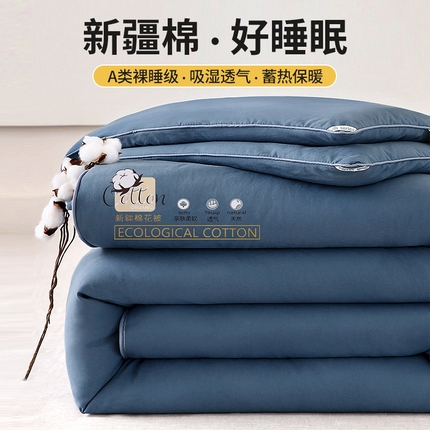 91家纺网 家纺一手货源 找家纺 好宜家纺 2025新款水洗棉新疆棉花被芯拉链款二合一子母被冬被春秋被夏被学生宿舍被褥 单被子-靛蓝色