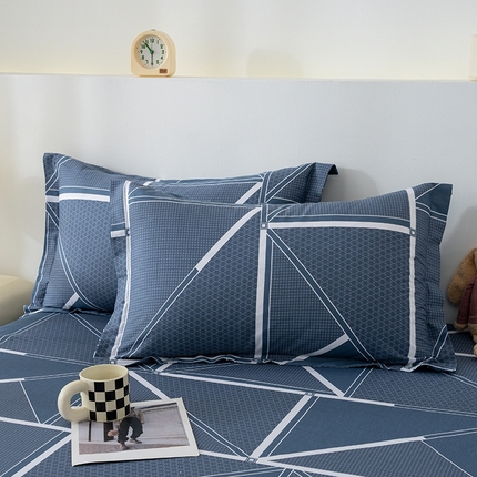 丽美人家纺 2024新款全棉印花单枕套枕芯 空间