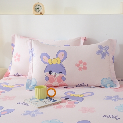 91家纺网 家纺一手货源 找家纺 （总）丽美人家纺 2024新款全棉印花单枕套枕芯