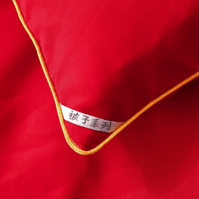 91家纺网 家纺一手货源 找家纺 壹张床 2025新款婚庆被绣花大红大豆被冬被喜庆被芯 吉祥如意