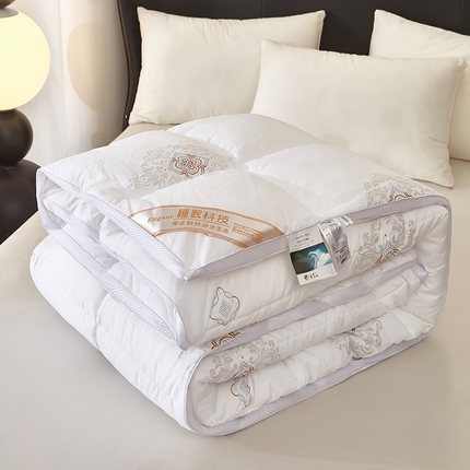 91家纺网 家纺一手货源 找家纺 风蝴蝶2025新款立体网边羽丝绒被春秋被加厚保暖冬被被芯被子 立体-典雅白